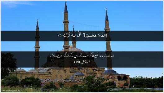 Saad Ayah 19 - Arabic + Urdu wallpaper