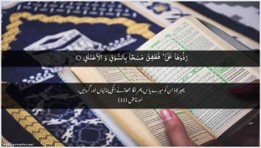 Saad Ayah 33 - Arabic + Urdu wallpaper