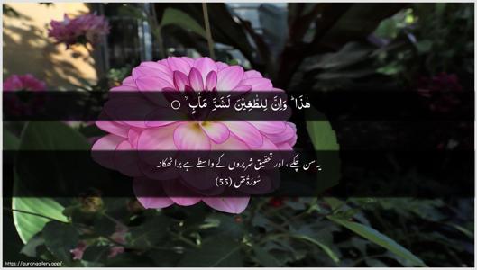 Saad Ayah 55 - Arabic + Urdu wallpaper