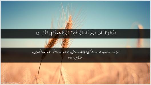 Saad Ayah 61 - Arabic + Urdu wallpaper