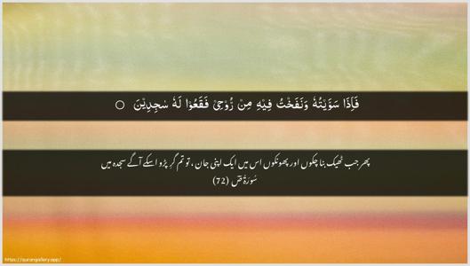 Saad Ayah 72 - Arabic + Urdu wallpaper