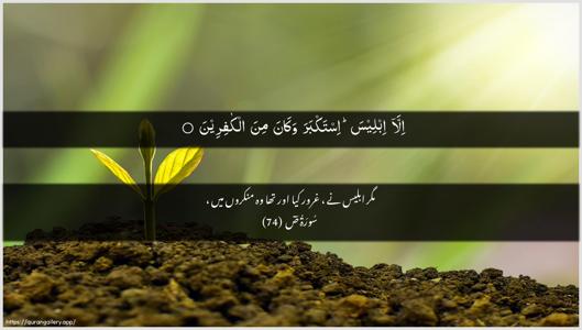 Saad Ayah 74 - Arabic + Urdu wallpaper
