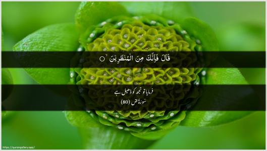 Saad Ayah 80 - Arabic + Urdu wallpaper