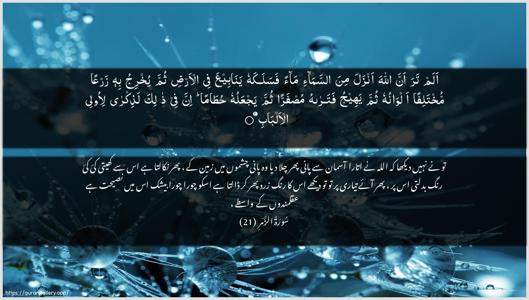 Az-Zumar Ayah 21 - Arabic + Urdu wallpaper