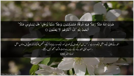 Az-Zumar Ayah 29 - Arabic + Urdu wallpaper