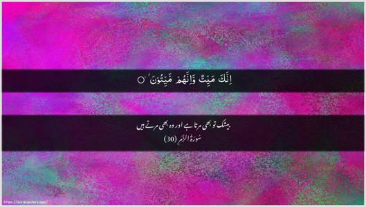 Az-Zumar Ayah 30 - Arabic + Urdu wallpaper