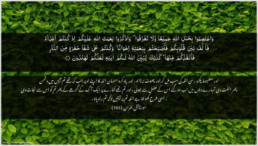 Aal-i-Imraan Ayah 103 - Arabic + Urdu wallpaper