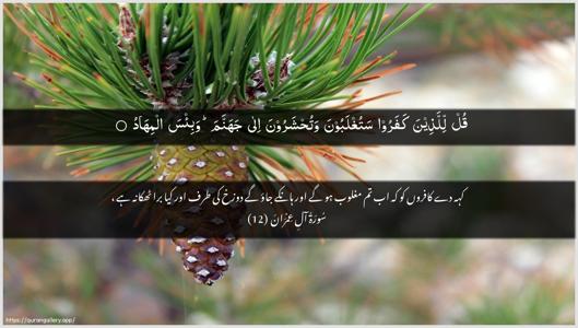 Aal-i-Imraan Ayah 12 - Arabic + Urdu wallpaper