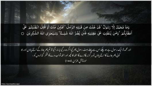 Aal-i-Imraan Ayah 144 - Arabic + Urdu wallpaper
