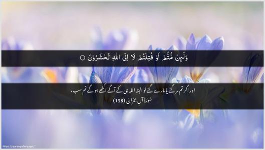 Aal-i-Imraan Ayah 158 - Arabic + Urdu wallpaper
