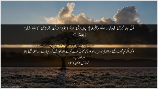 Aal-i-Imraan Ayah 31 - Arabic + Urdu wallpaper