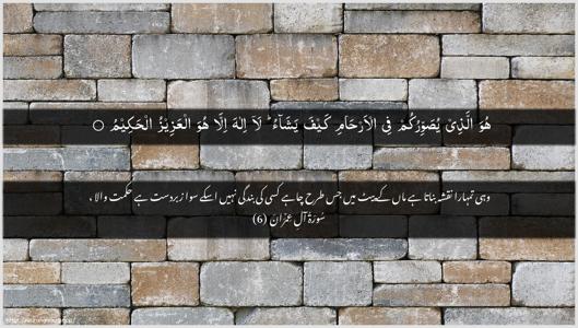 Aal-i-Imraan Ayah 6 - Arabic + Urdu wallpaper