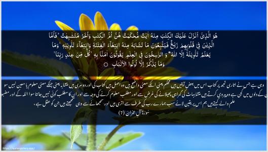Aal-i-Imraan Ayah 7 - Arabic + Urdu wallpaper