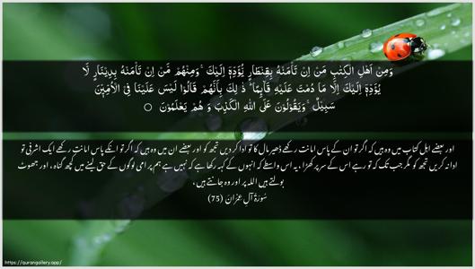 Aal-i-Imraan Ayah 75 - Arabic + Urdu wallpaper