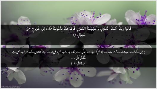 Al-Ghaafir Ayah 11 - Arabic + Urdu wallpaper