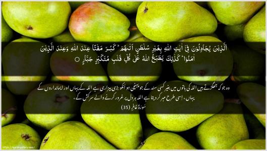 Al-Ghaafir Ayah 35 - Arabic + Urdu wallpaper
