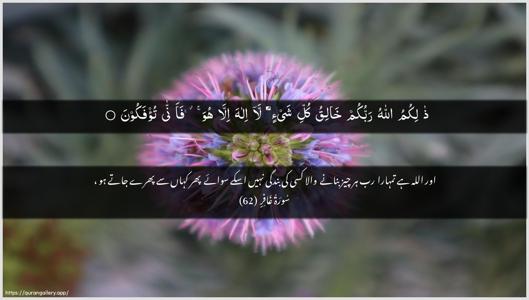 Al-Ghaafir Ayah 62 - Arabic + Urdu wallpaper