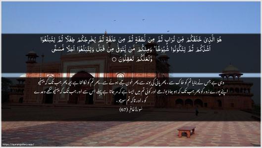 Al-Ghaafir Ayah 67 - Arabic + Urdu wallpaper