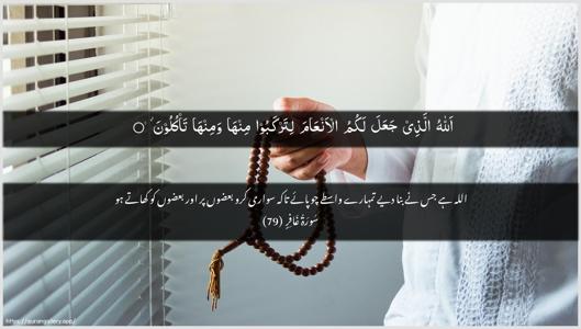Al-Ghaafir Ayah 79 - Arabic + Urdu wallpaper