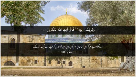 Al-Ghaafir Ayah 81 - Arabic + Urdu wallpaper