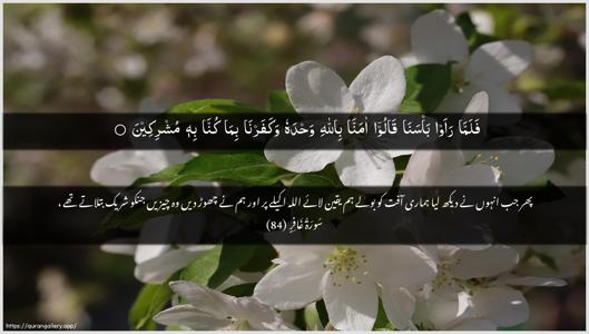Al-Ghaafir Ayah 84 - Arabic + Urdu wallpaper