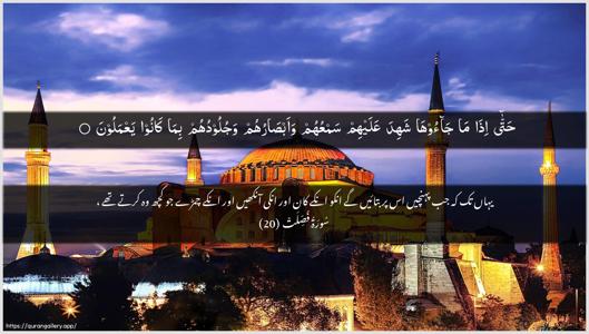 Fussilat Ayah 20 - Arabic + Urdu wallpaper