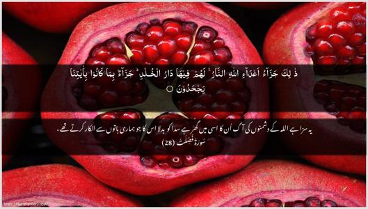 Fussilat Ayah 28 - Arabic + Urdu wallpaper