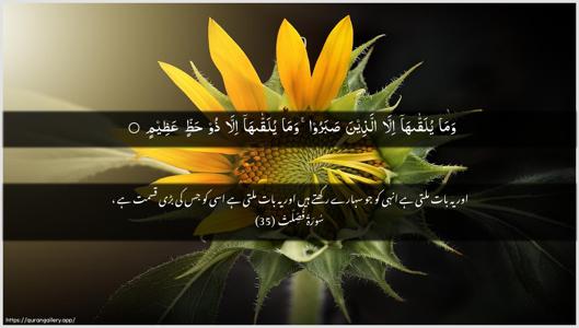 Fussilat Ayah 35 - Arabic + Urdu wallpaper