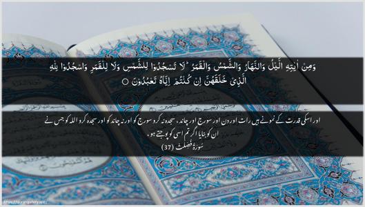 Fussilat Ayah 37 - Arabic + Urdu wallpaper