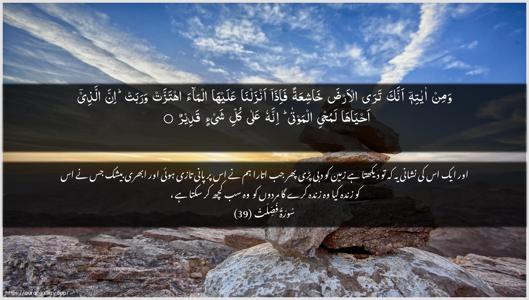 Fussilat Ayah 39 - Arabic + Urdu wallpaper