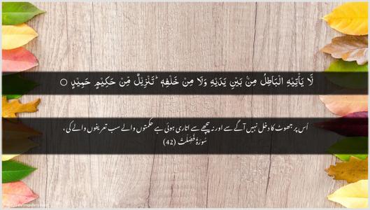Fussilat Ayah 42 - Arabic + Urdu wallpaper