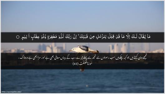 Fussilat Ayah 43 - Arabic + Urdu wallpaper