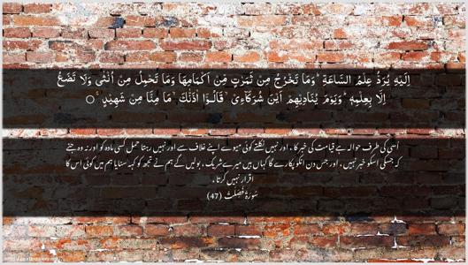 Fussilat Ayah 47 - Arabic + Urdu wallpaper