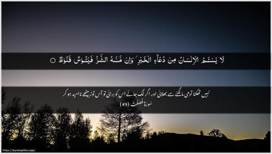 Fussilat Ayah 49 - Arabic + Urdu wallpaper