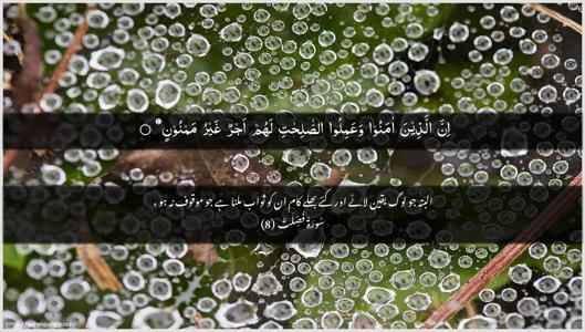 Fussilat Ayah 8 - Arabic + Urdu wallpaper
