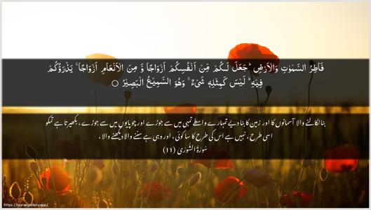 Ash-Shura Ayah 11 - Arabic + Urdu wallpaper
