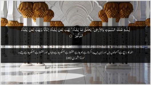 Ash-Shura Ayah 49 - Arabic + Urdu wallpaper