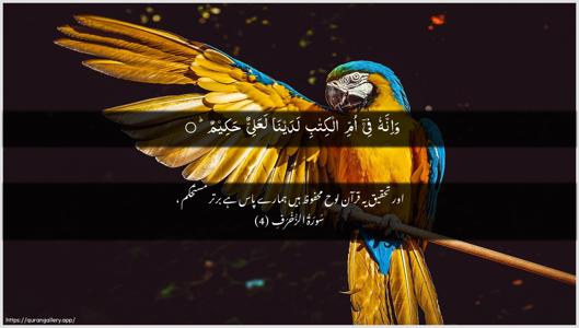 Az-Zukhruf Ayah 4 - Arabic + Urdu wallpaper