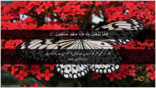Az-Zukhruf Ayah 41 - Arabic + Urdu wallpaper