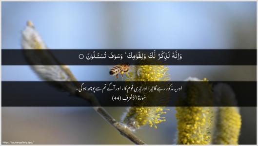 Az-Zukhruf Ayah 44 - Arabic + Urdu wallpaper