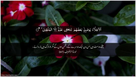 Az-Zukhruf Ayah 67 - Arabic + Urdu wallpaper