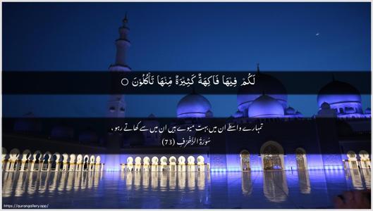 Az-Zukhruf Ayah 73 - Arabic + Urdu wallpaper