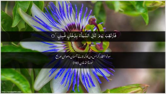 Ad-Dukhaan Ayah 10 - Arabic + Urdu wallpaper