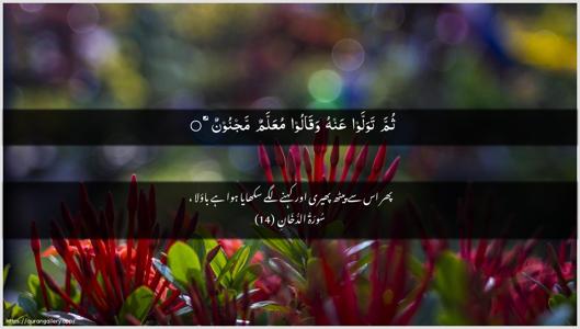 Ad-Dukhaan Ayah 14 - Arabic + Urdu wallpaper