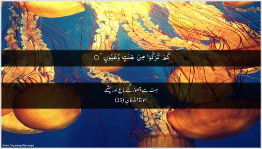 Ad-Dukhaan Ayah 25 - Arabic + Urdu wallpaper
