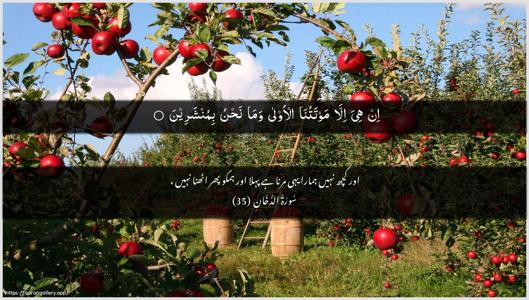 Ad-Dukhaan Ayah 35 - Arabic + Urdu wallpaper