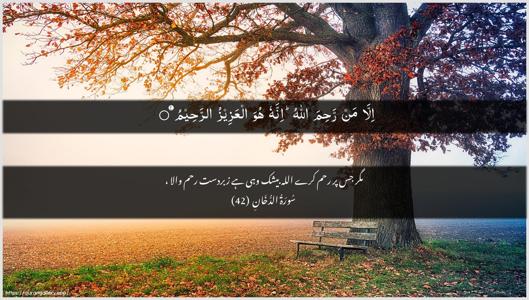 Ad-Dukhaan Ayah 42 - Arabic + Urdu wallpaper