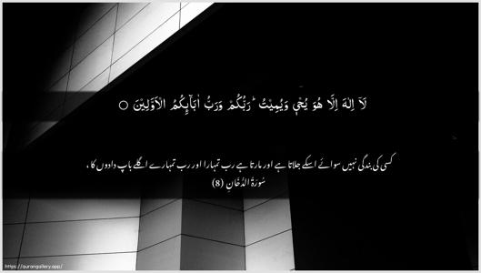 Ad-Dukhaan Ayah 8 - Arabic + Urdu wallpaper