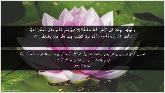 Al-Jaathiya Ayah 17 - Arabic + Urdu wallpaper
