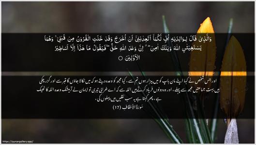 Al-Ahqaf Ayah 17 - Arabic + Urdu wallpaper